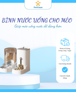 bình nước uống cho mèo