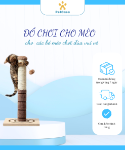 đồ chơi cho mèo